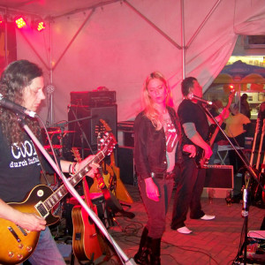 Rock- & Bluesnacht 2009